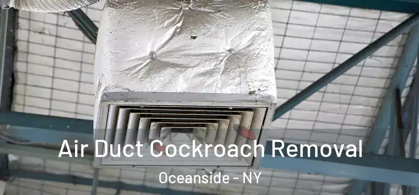 Air Duct Cockroach Removal Oceanside - NY