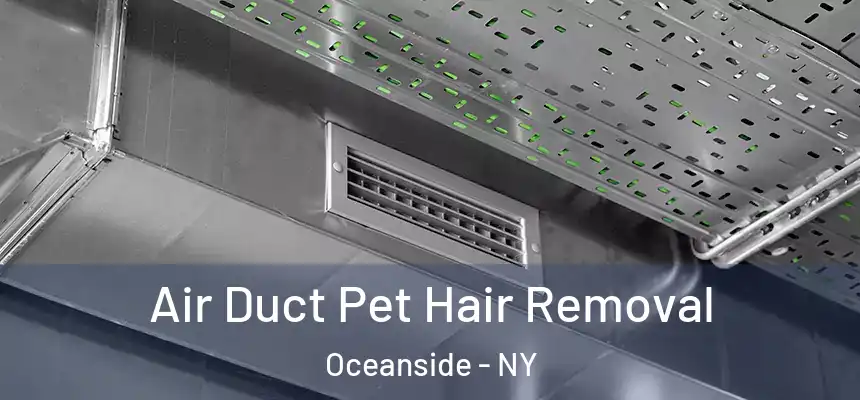  Air Duct Pet Hair Removal Oceanside - NY