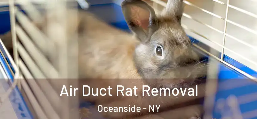  Air Duct Rat Removal Oceanside - NY