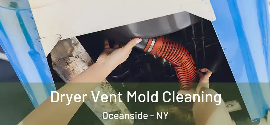 Dryer Vent Mold Cleaning Oceanside - NY