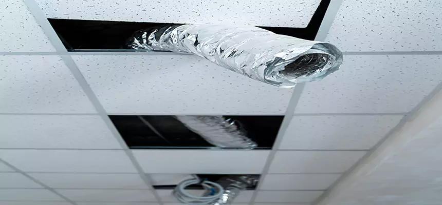 Our Air Duct Pet Hair Removal Services in Oceanside, NY