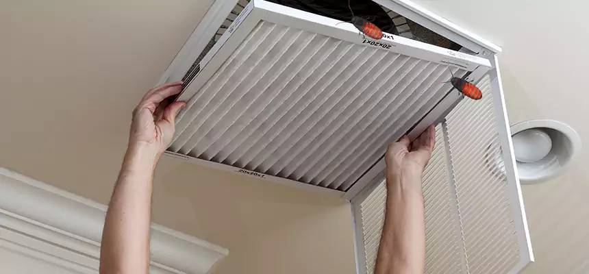 Our Insect Removal from Air Ducts Services in Oceanside, NY
