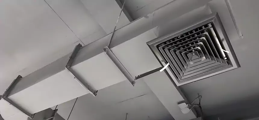 Our Pest Removal From Ducts Services in Oceanside, NY