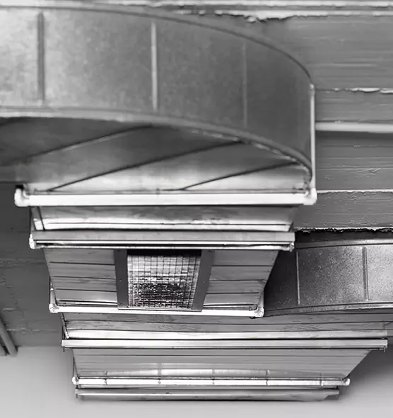 Professional Air Duct Pest Removal in Oceanside, NY