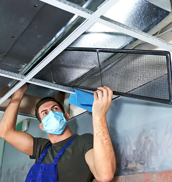 Professional Air Duct Pollen Cleaning in Oceanside, NY