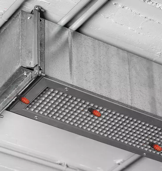 Affordable Insect Removal from Air Ducts in Oceanside, NY