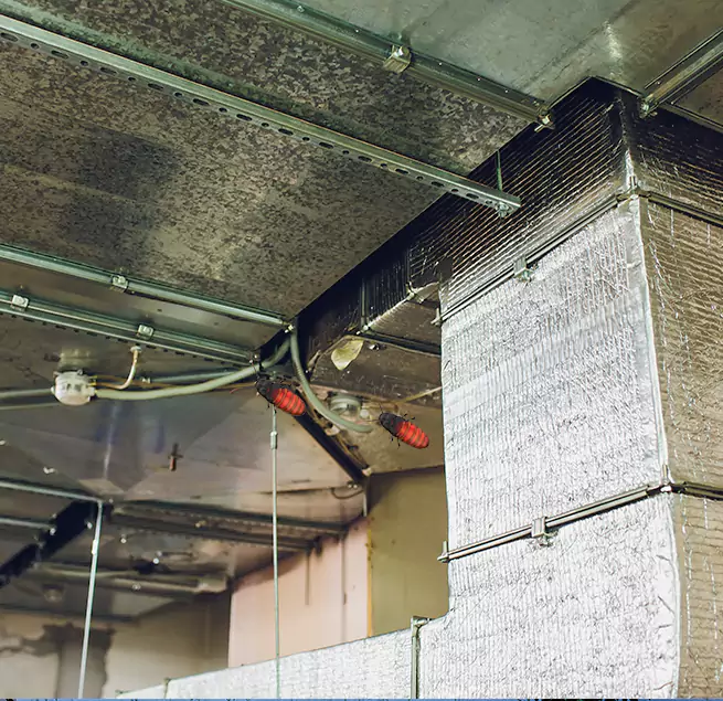 Why Homeowners & Businesses Trust Us in Oceanside, NY?