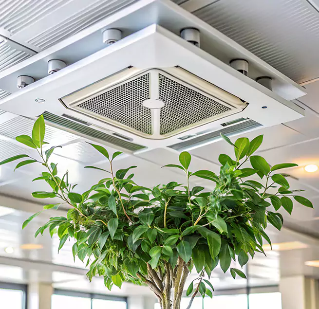 Why Homeowners & Businesses Trust Us in Oceanside, NY?